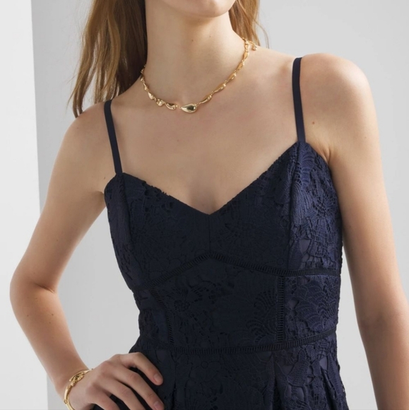 Petite Sleeveless Lace Fit & Flare Midi Dress - Picture 2 of 5